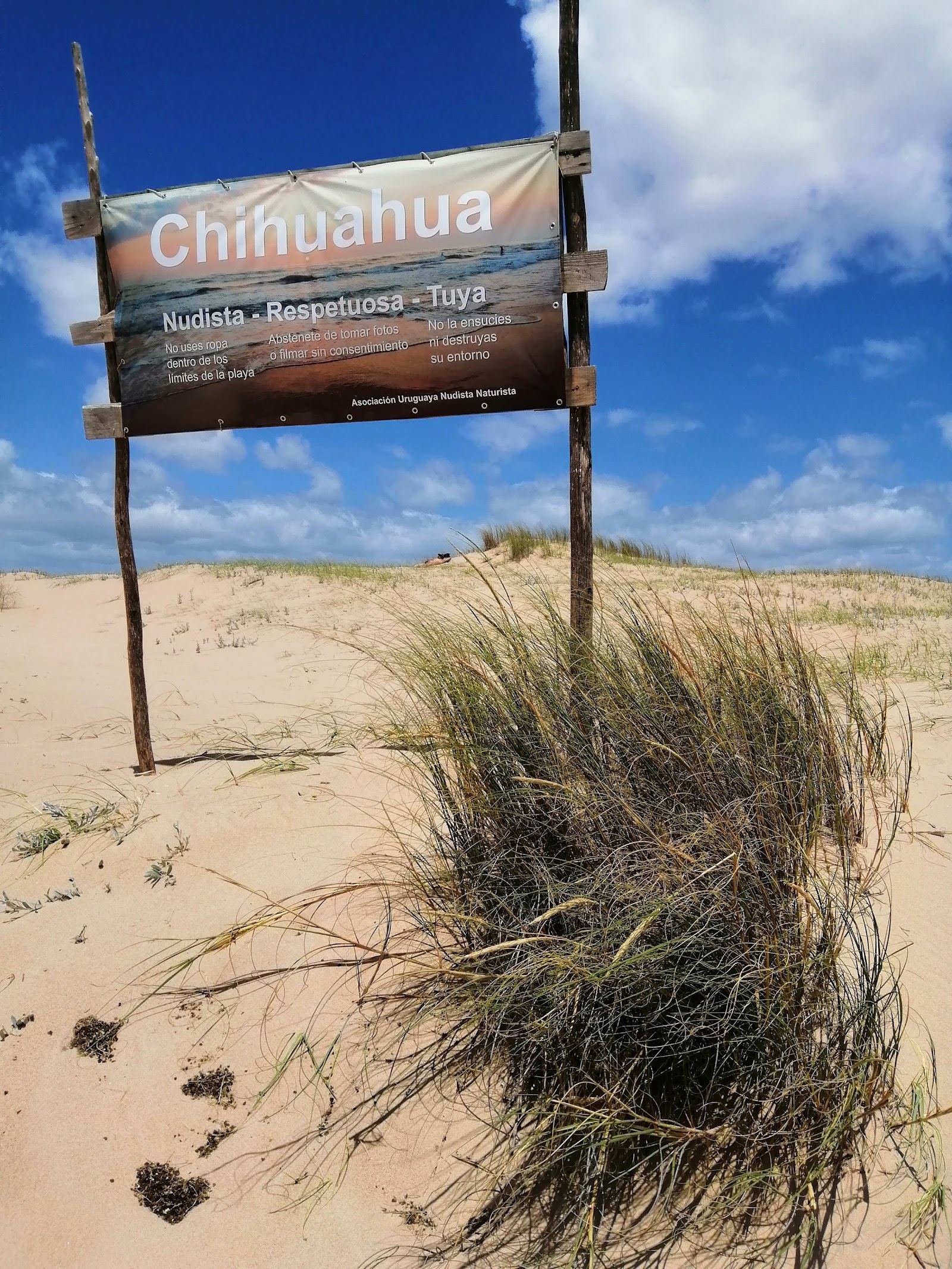 Quiet rocky shoreline at the wild peninsula tip of Punta del Este with no crowd