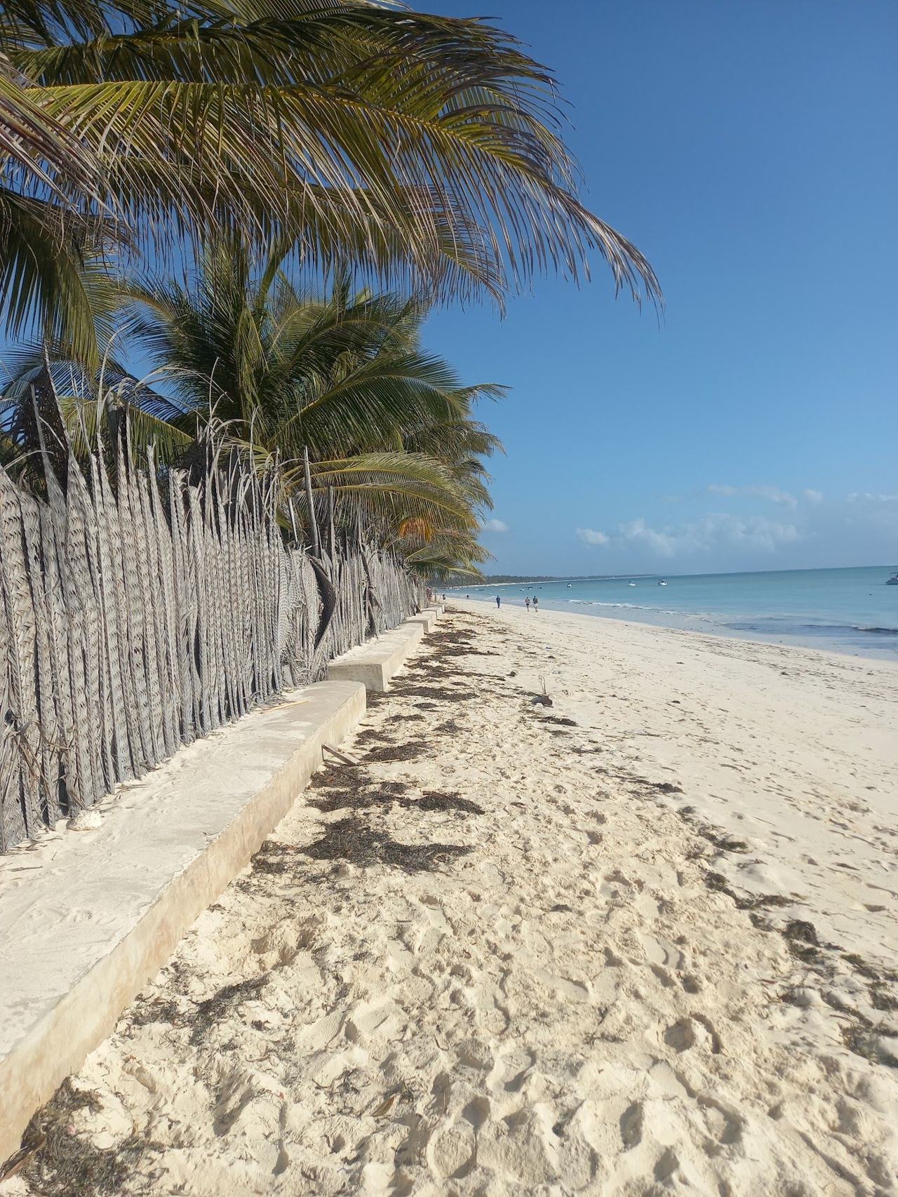 White sand, palms and a calm turquoise lagoon along the quiet village shore at Pwani Mchangani on the east coast of Zanzibar