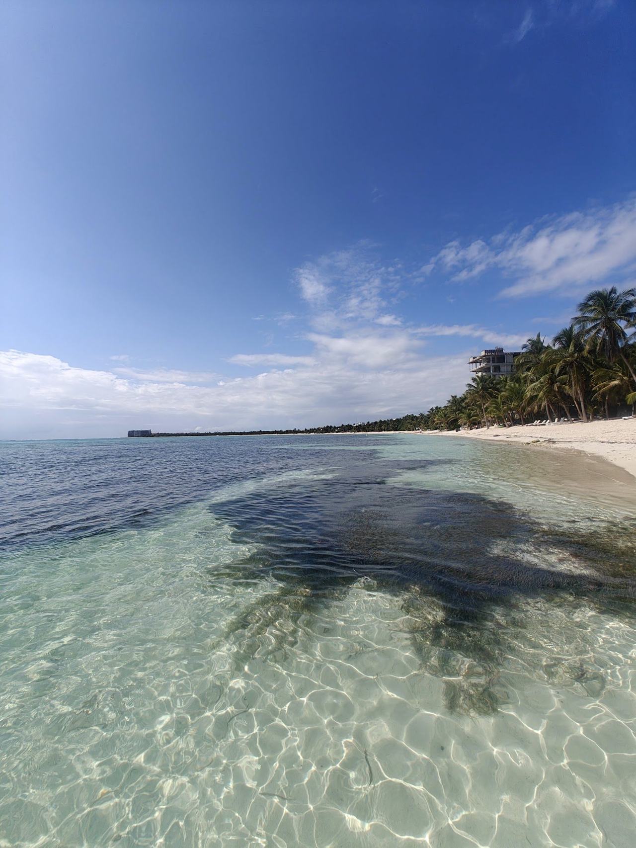 Empty pale sand and palms on a quiet secluded Riviera Maya beach in Mexico