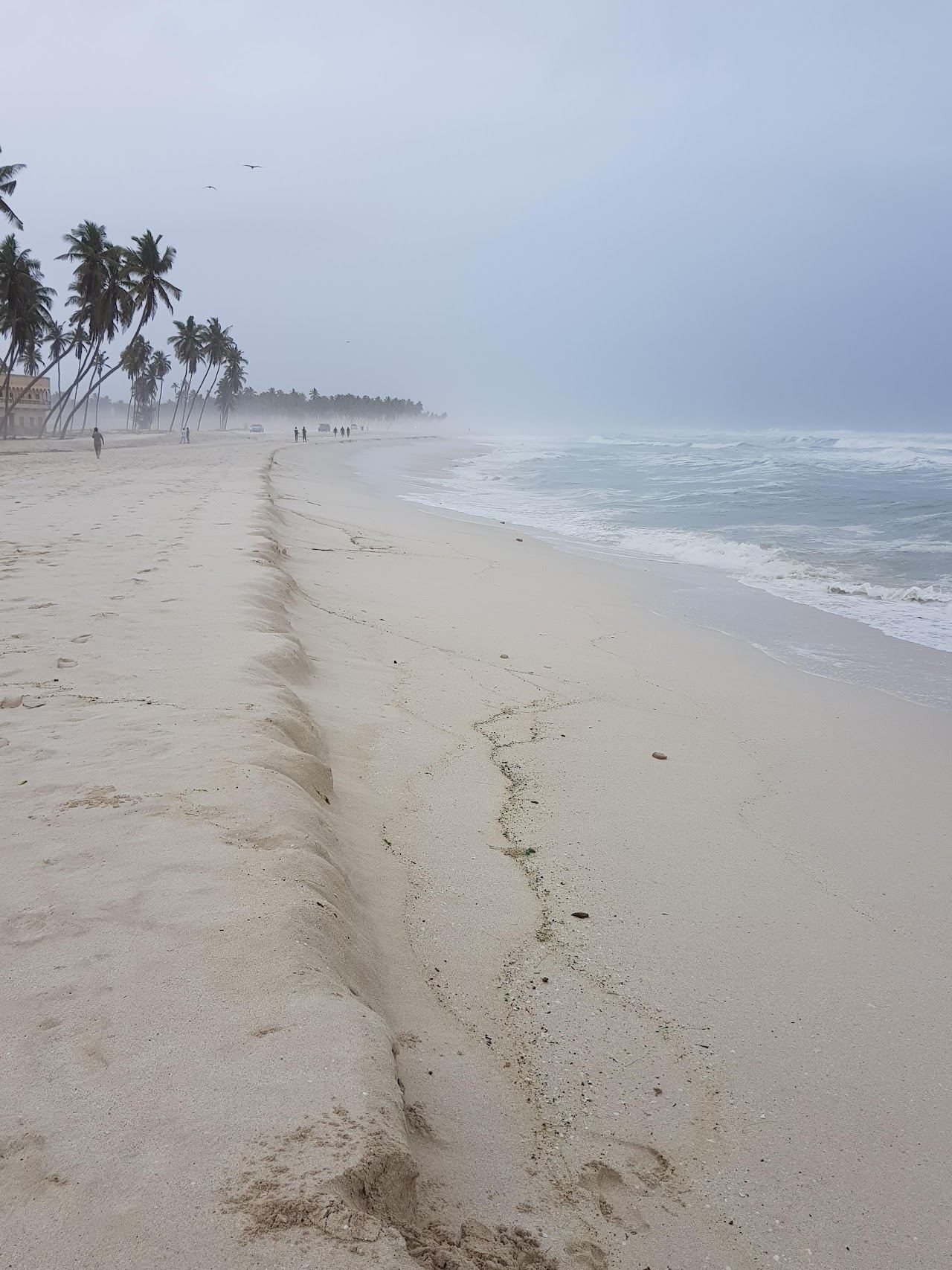 Soft white sand and calm clear water on the palm lined Al Haffa corniche beach in Salalah used for the families guide on Beaches for Kings