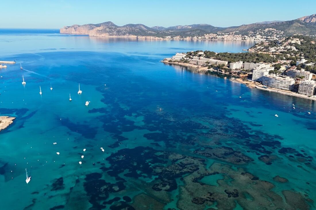 Santa Ponsa Beach shoreline and water, Mallorca