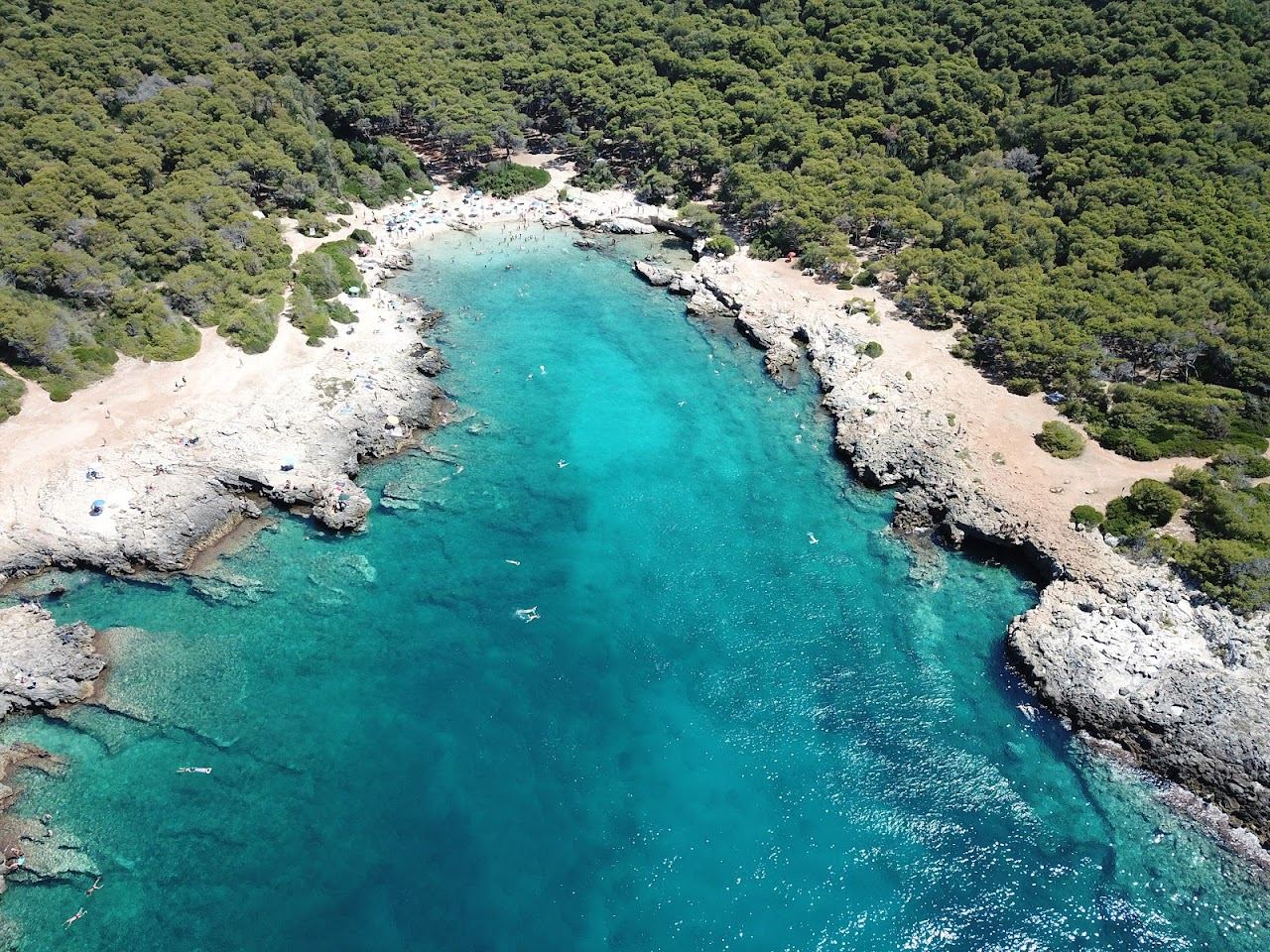 Pine forest meeting the rocky clear cove of Porto Selvaggio in Puglia