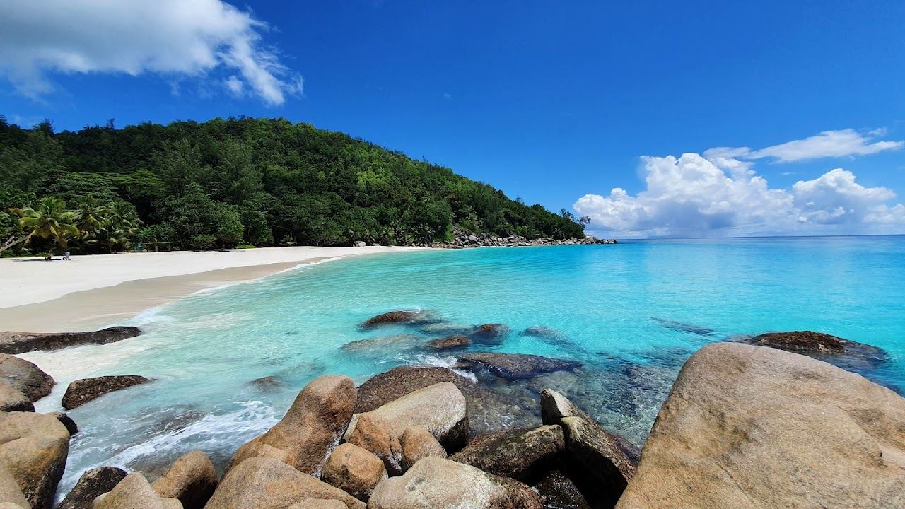 Bright white sand and clear blue water at Anse Georgette on Praslin