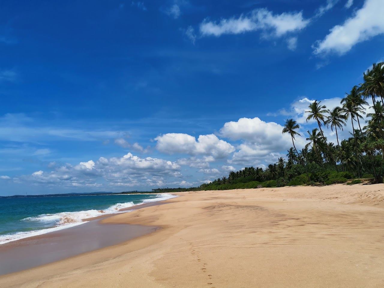 The wide undeveloped strand and palms at Rekawa beach near Tangalle in Sri Lanka