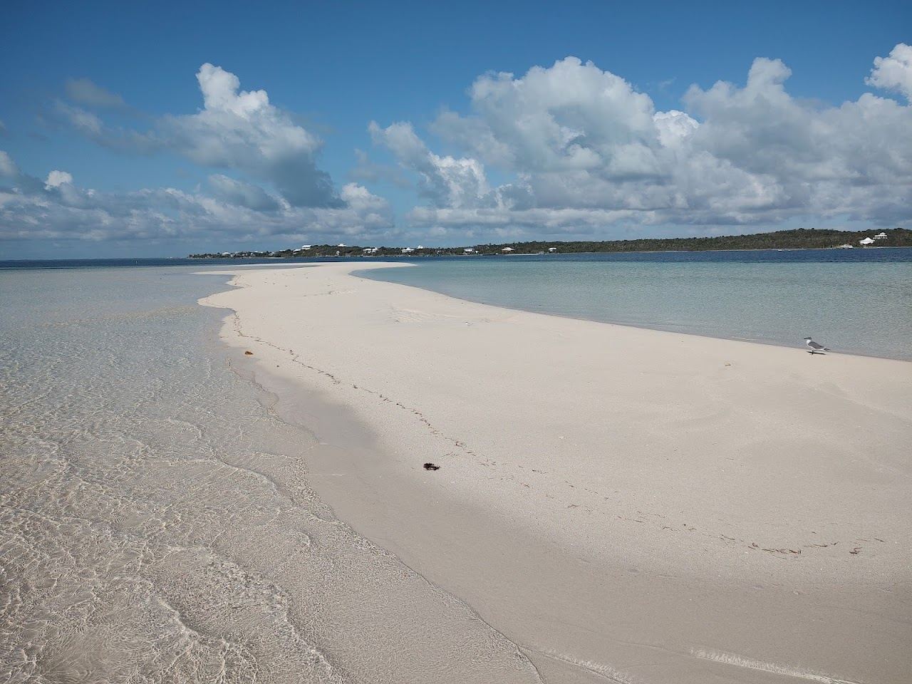 The shallow turquoise flats and sandbar at Tahiti Beach off Elbow Cay in Abaco