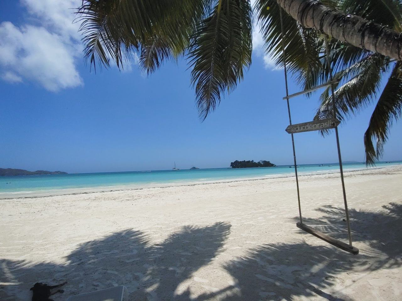 Calm shallow water and palm fringed sand at Anse Volbert on Praslin in the Seychelles