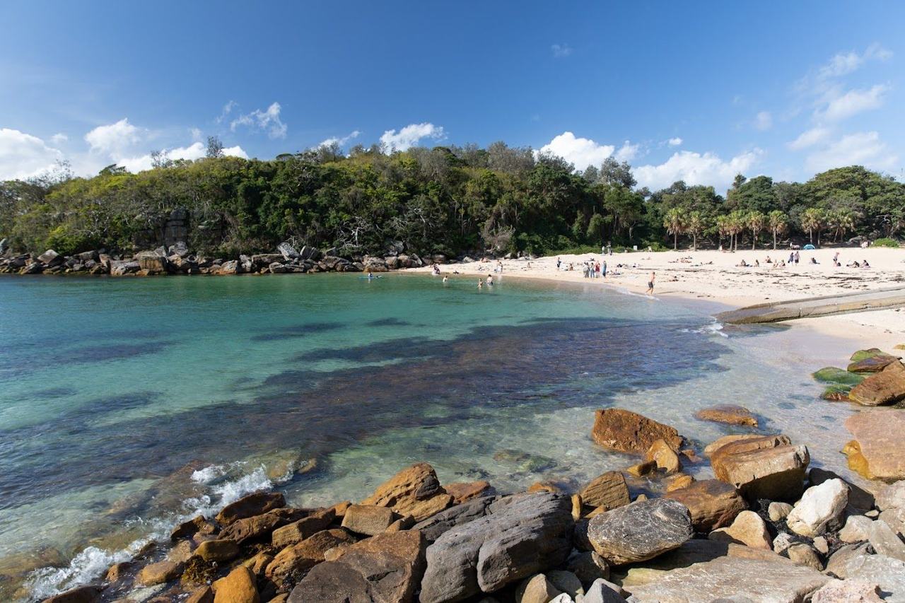 shelly beach in Sydney Australia