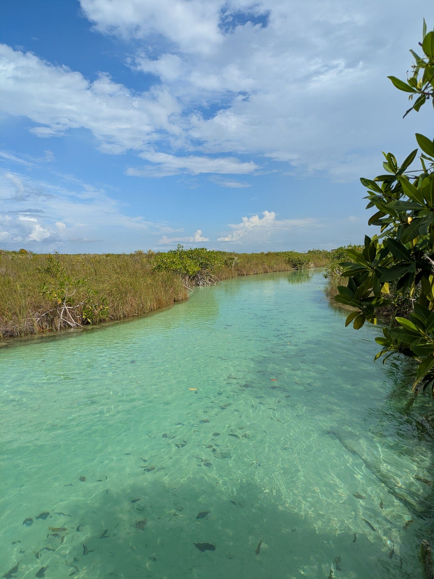 White sand and clear water on a wild isolated beach in the Sian Kaan biosphere reserve near Punta Allen