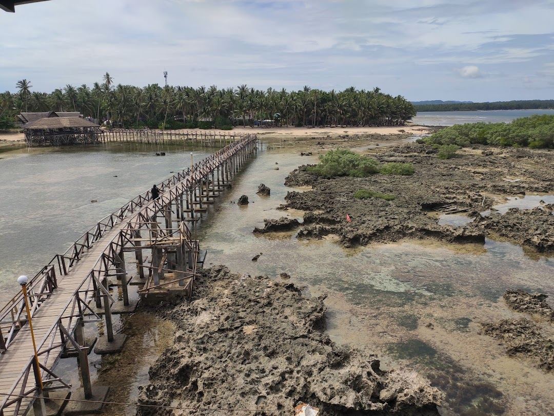 Palms and the wooden boardwalk over the reef at Cloud 9 in General Luna, Siargao