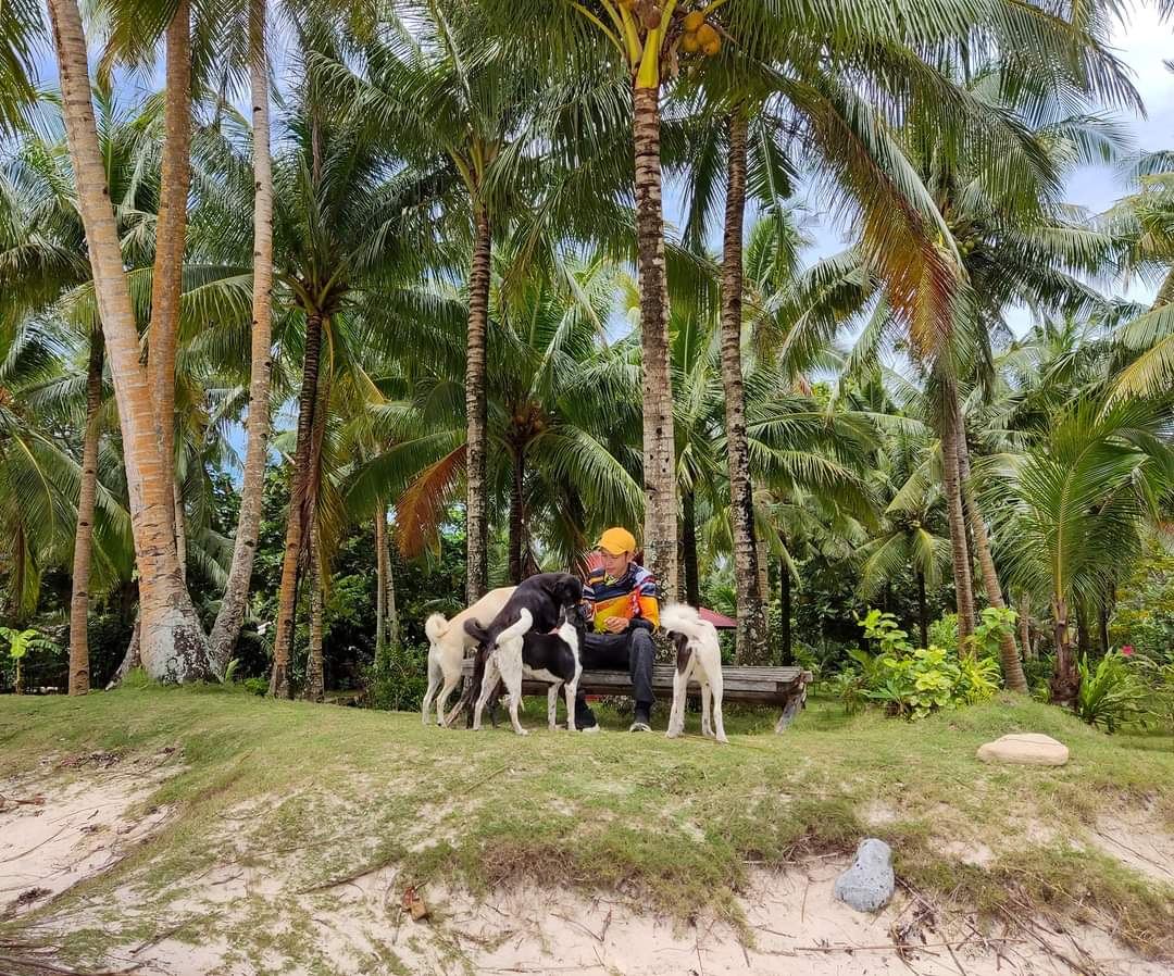 Palm fringed beach and open air bars along the General Luna shore in Siargao