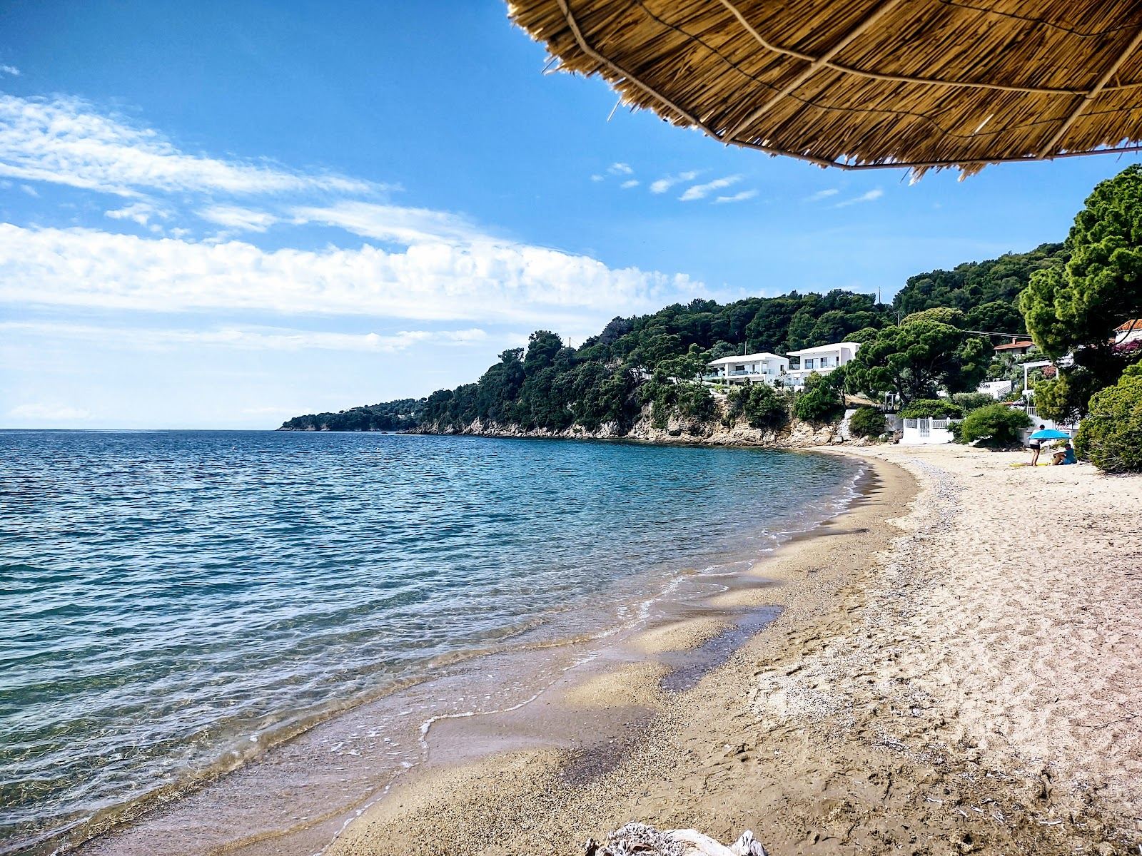 The sheltered horseshoe sand and calm water of Achladies beach near Skiathos Town