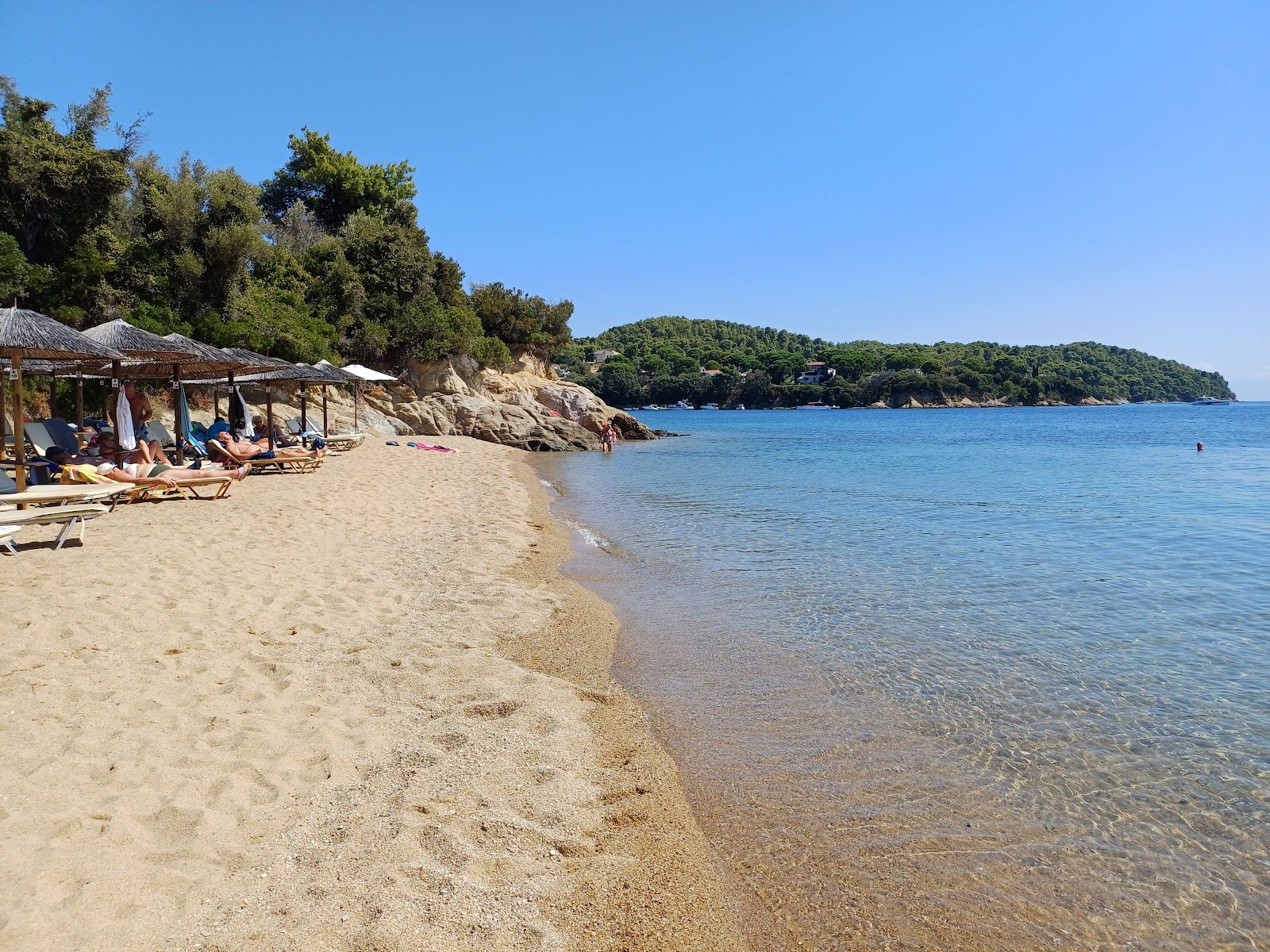 Golden sand, sunbeds and gentle water at Agia Paraskevi or Platanias beach on Skiathos