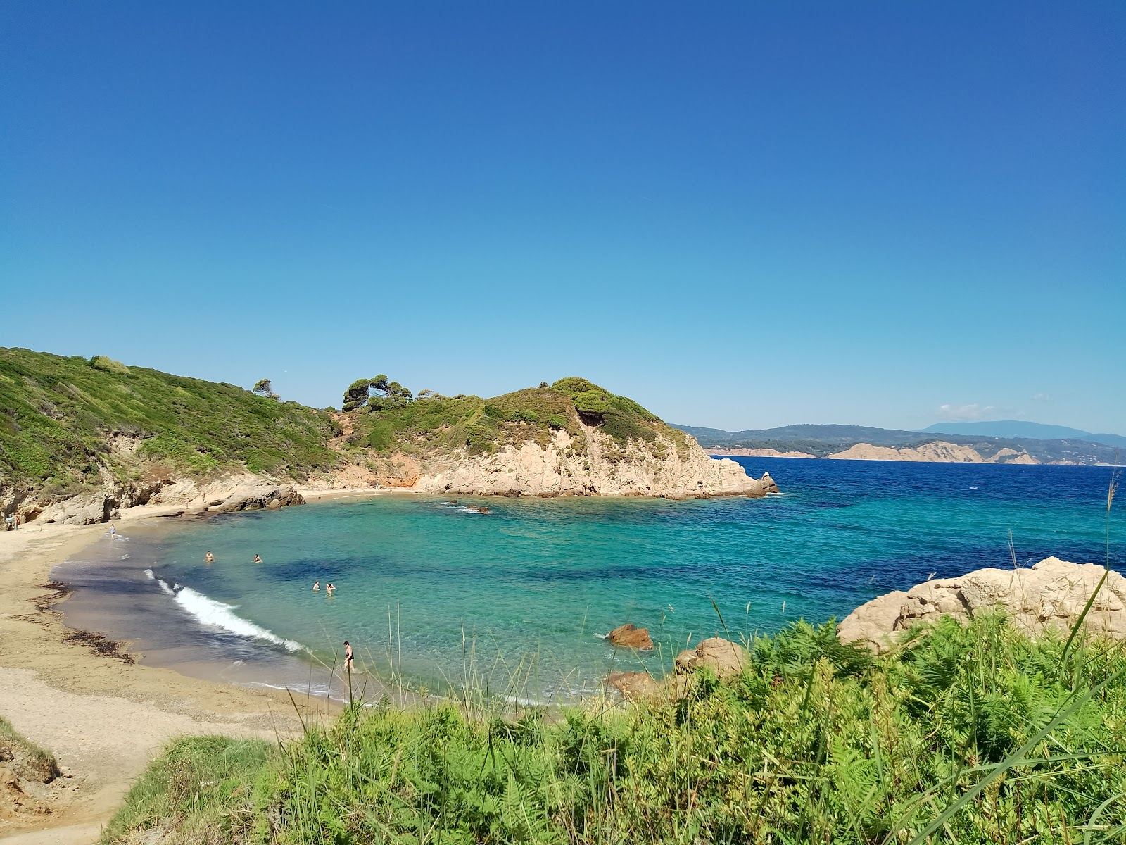 A quiet wild cove with clear water on the coast of Skiathos