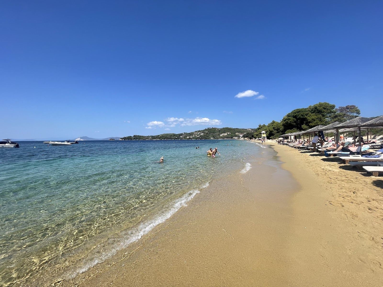 The soft golden sand and calm clear water of Vromolimnos beach on the south coast of Skiathos