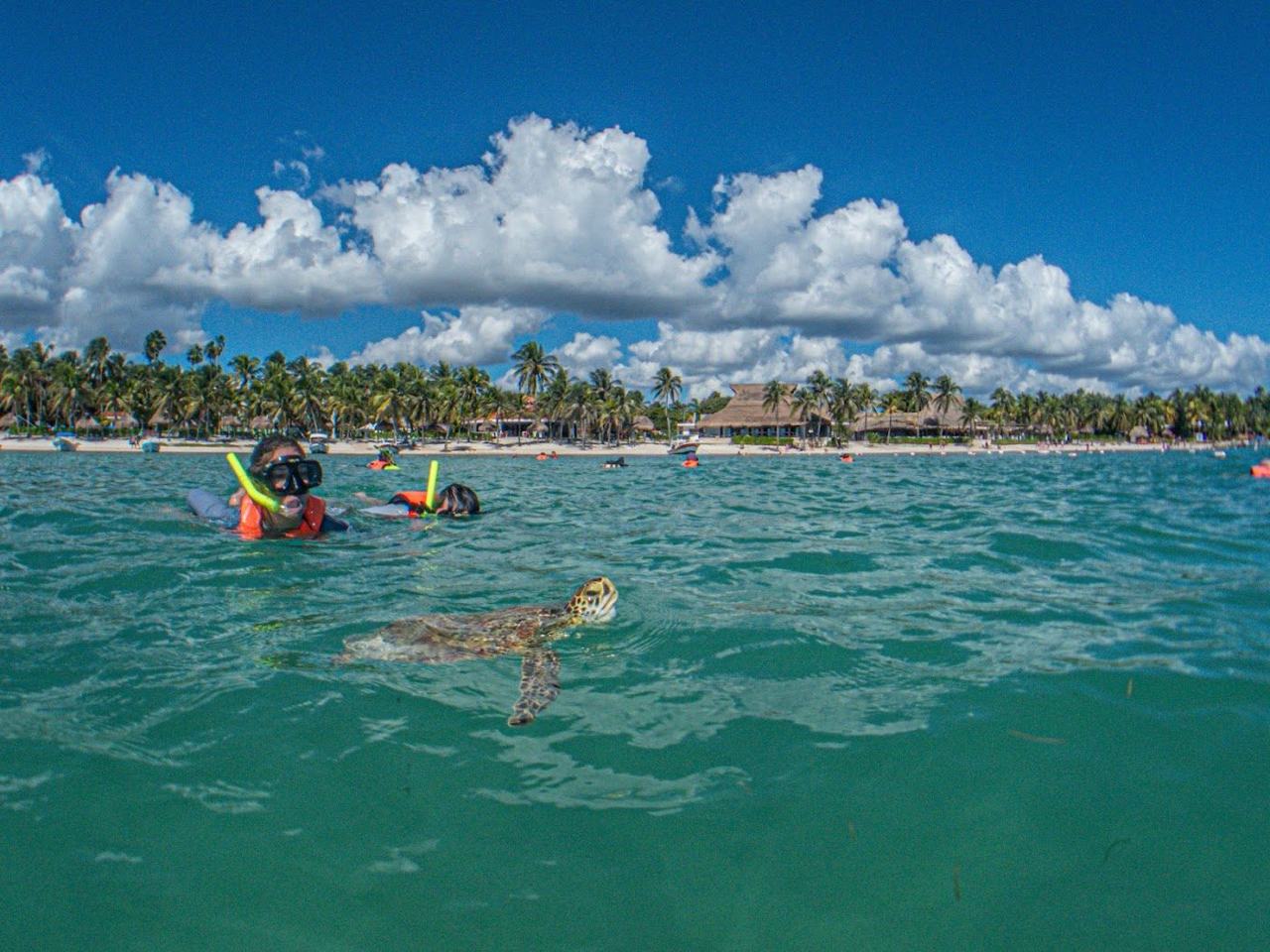 The calm bay at Akumal on the Riviera Maya with clear water over seagrass and reef