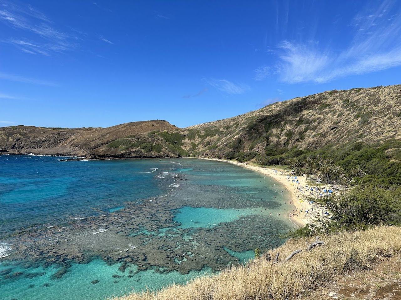 The curved reef lagoon of Hanauma Bay on Oahu seen from above with snorkelers in clear water