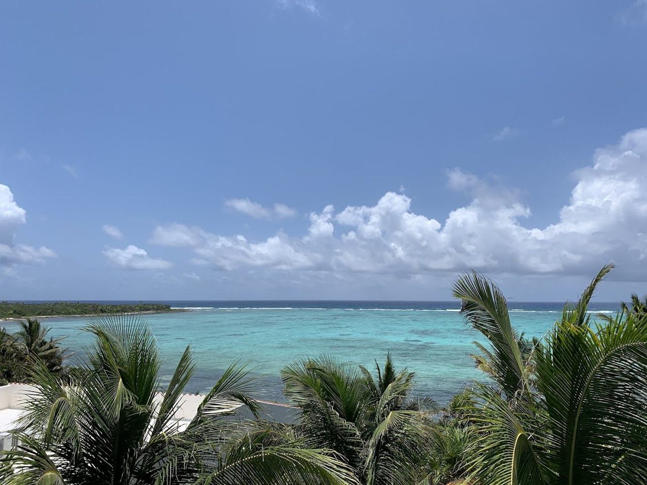 Calm flat water and a palm lined shore at quiet Soliman Bay north of Tulum