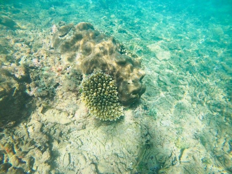 Clear shallow water over reef on the Sri Lanka south coast