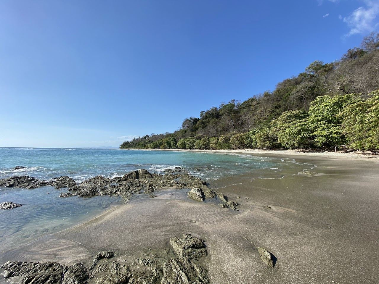 White sand and almond trees backing the quiet beach at Playa Manzanillo Costa Rica