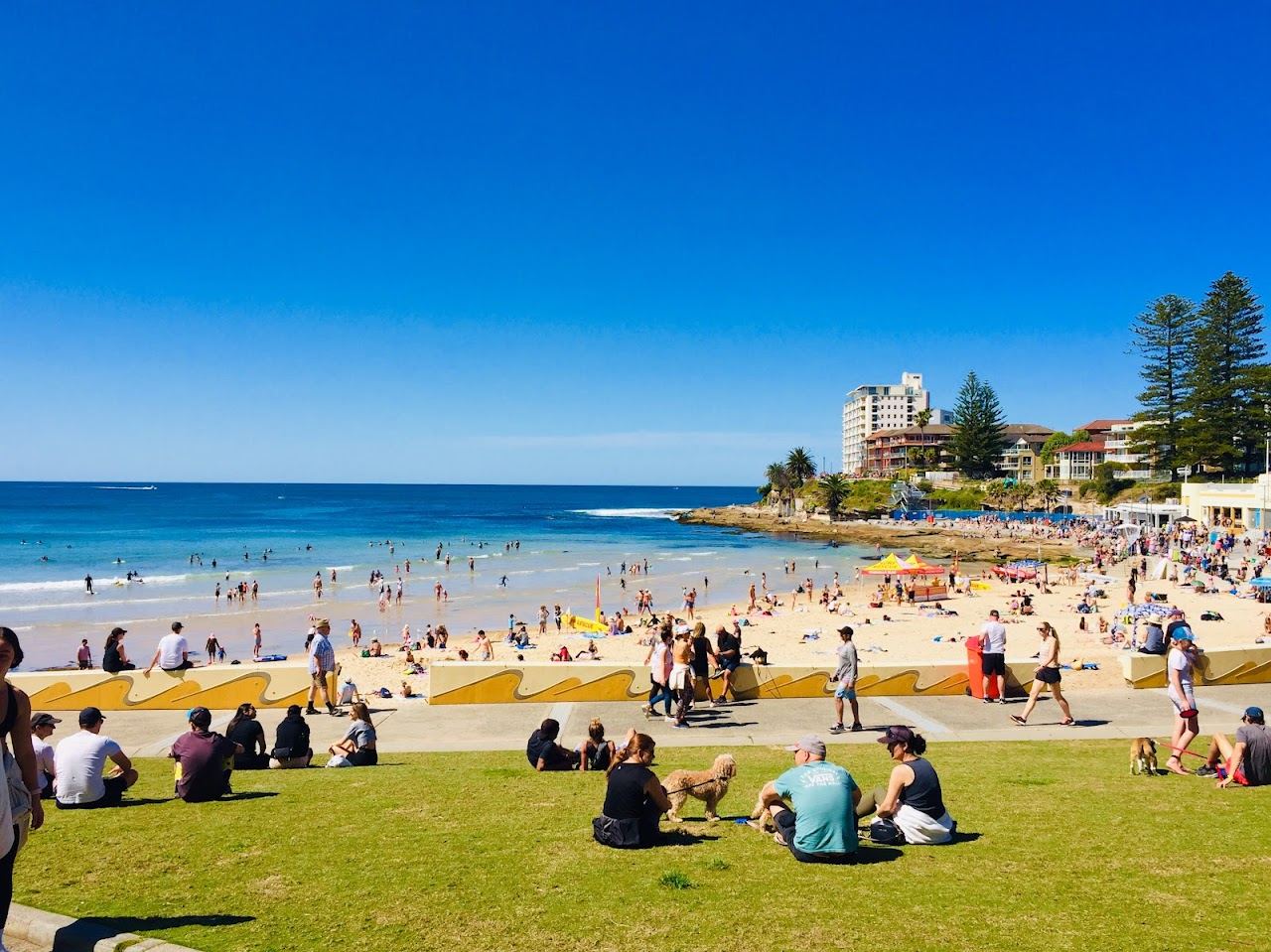The long run of beach breaks at Cronulla in southern Sydney