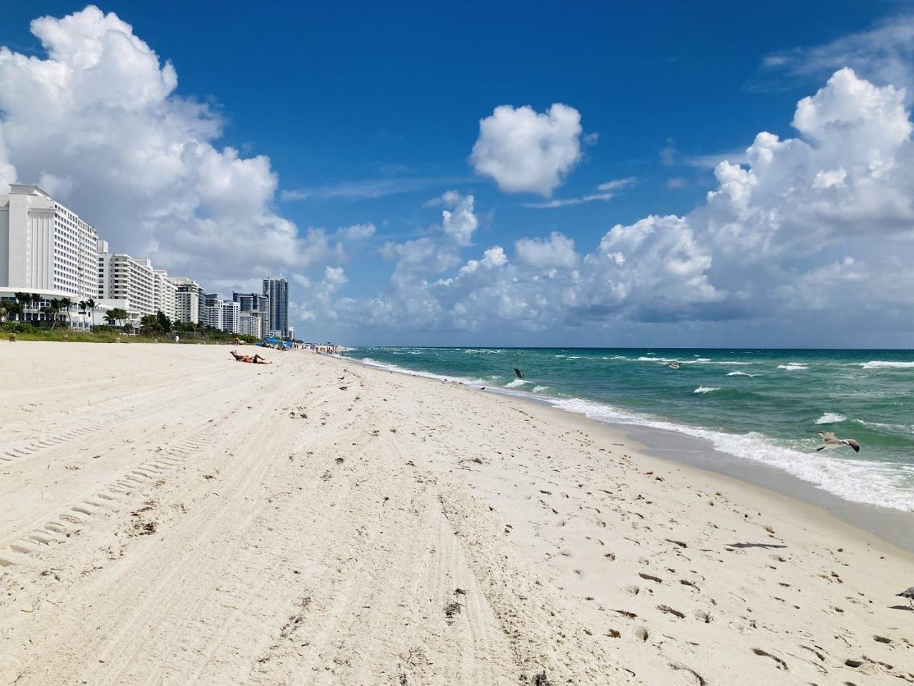 Surfside Beach near Miami calm wide pale sand and gentle Atlantic backed by low rise town buildings and palms