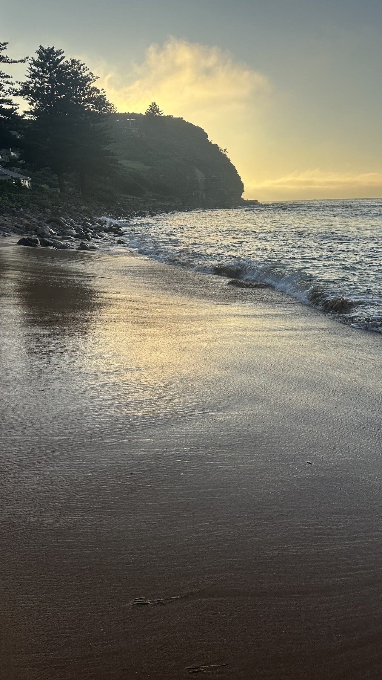 The wide surf beach and dunes at Avalon in Sydney