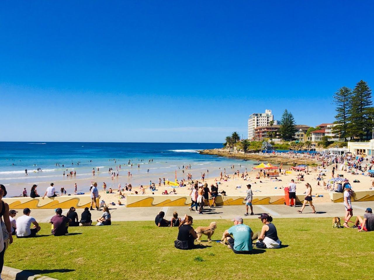 The long surf beach and esplanade at Cronulla in Sydney