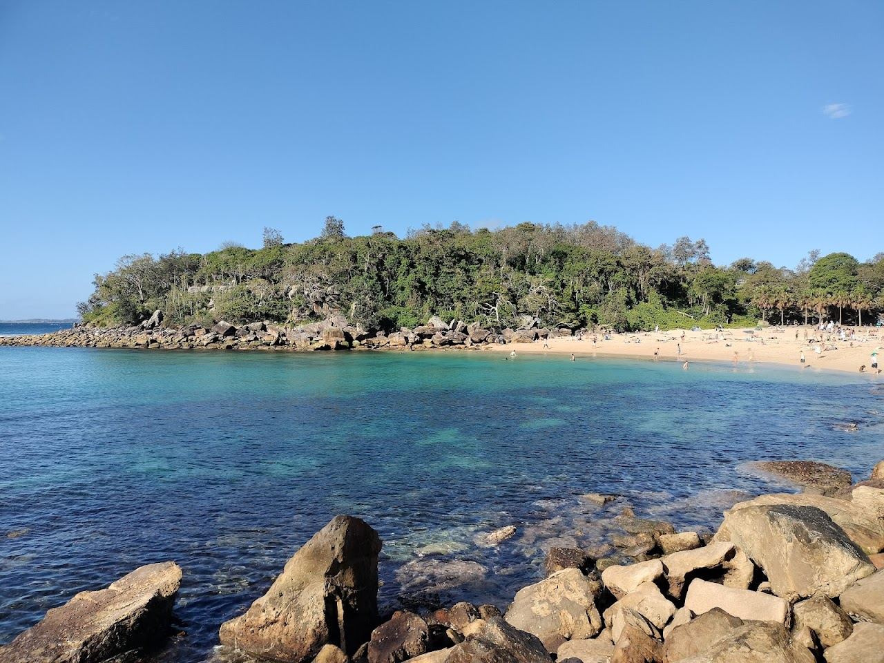 Clear water over reef at a sheltered Sydney snorkelling bay