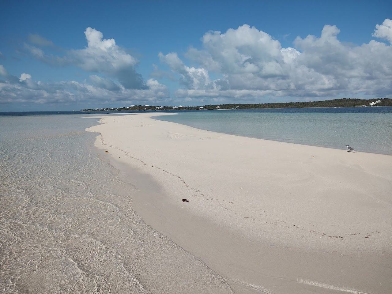 Shallow turquoise water over a pale sandbar at Tahiti Beach on Elbow Cay in the Abacos Bahamas
