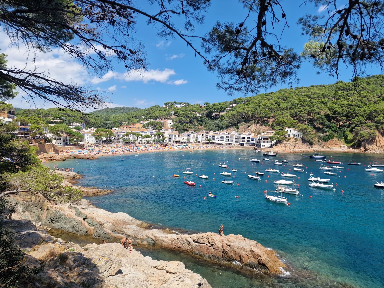 Tamariu beach on the Costa Brava