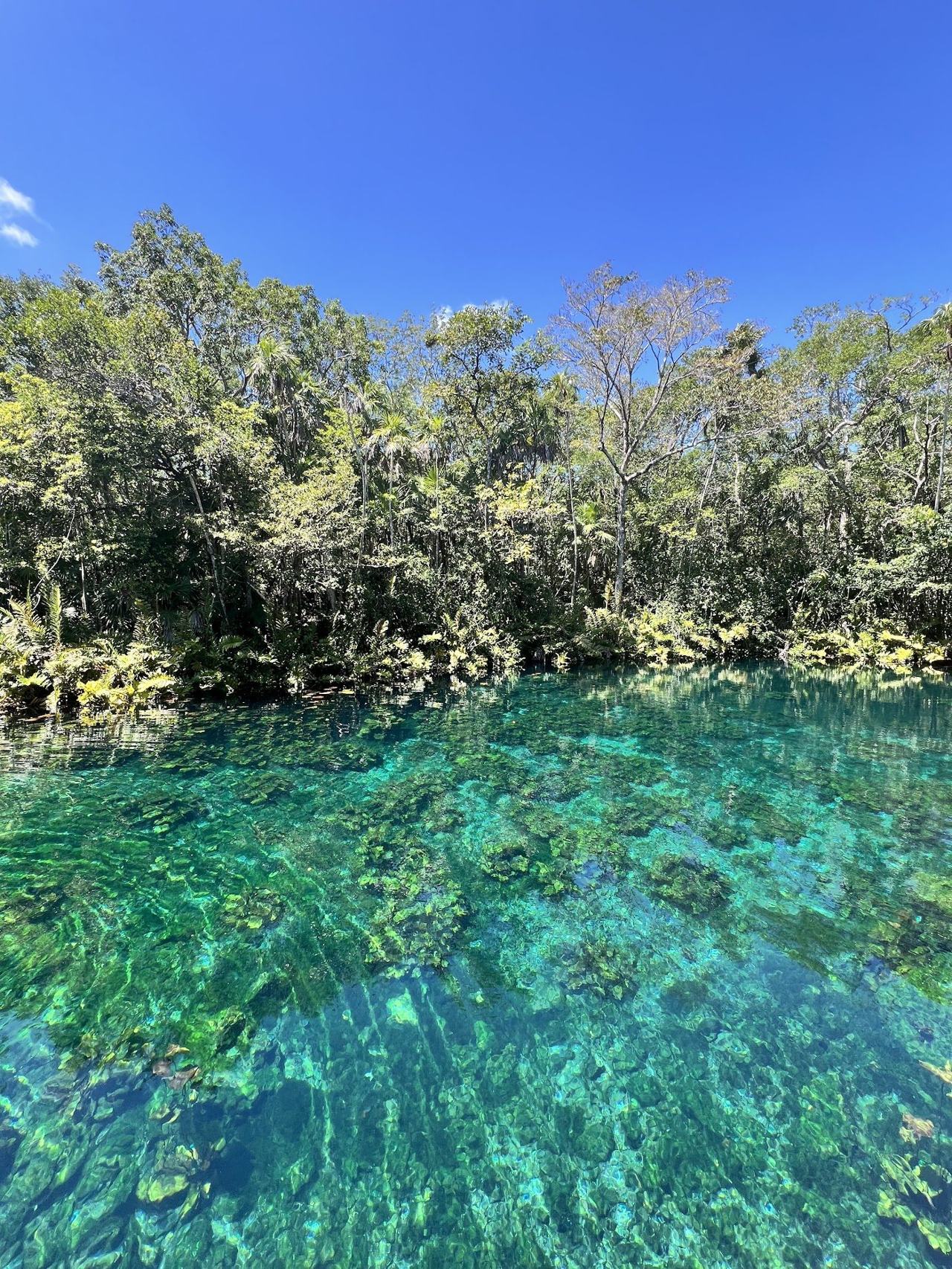 Clear water of the cenote meeting the sea at Tankah Bay near Tulum