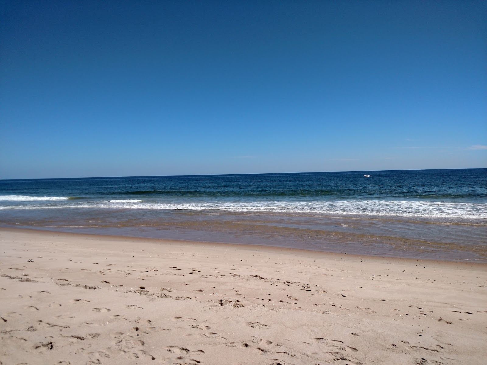 An empty stretch of dune backed Atlantic sand at a quiet Hamptons beach