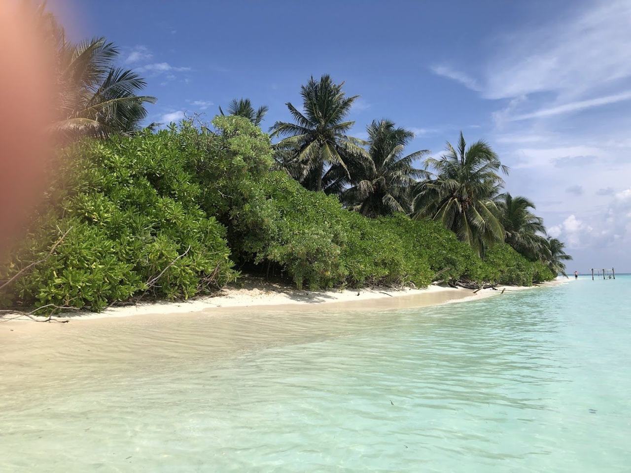 Thoddoo in the Maldives, a calm bikini beach of white sand and turquoise water