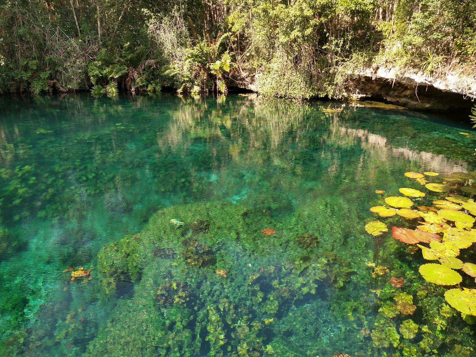 Clear turquoise Caribbean water over reef near a sheltered beach at Tulum in Mexico