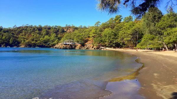 The pine shaded bay and picnic park at Katranci near Fethiye