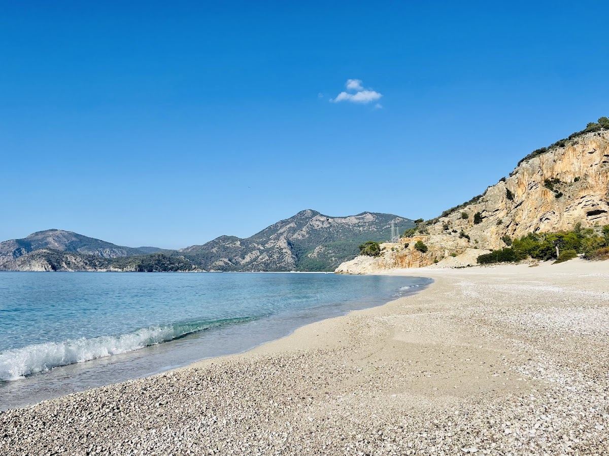 The pine backed beach and clear water at Kidrak near Oludeniz