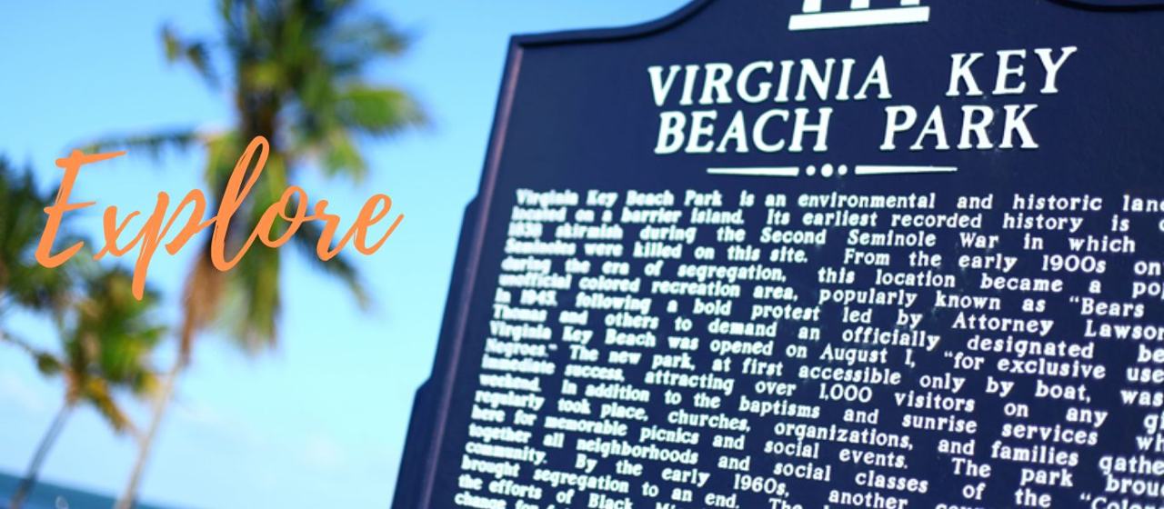 Virginia Key Beach Miami calm pale sand fringed by sea grape and palms with the city skyline beyond