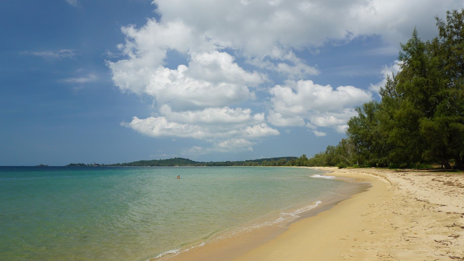 Long wild crescent of pale sand backed by dense forest and calm shallow water at Vung Bau beach on the northwest coast of Phu Quoc