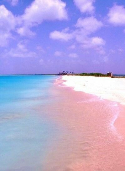 The blush pink sand and calm water of Pink Sands Beach on Harbour Island