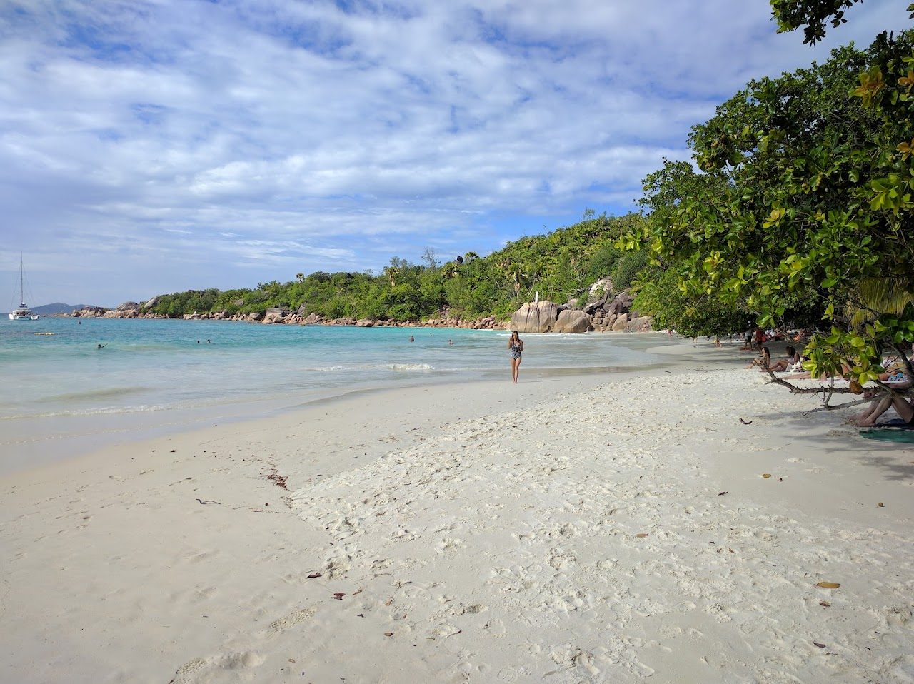 Pale sand framed by granite and takamaka trees at Anse Lazio on Praslin