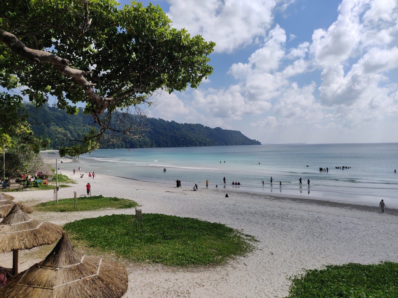 The wide pale sand and jungle backdrop of Radhanagar Beach on Havelock