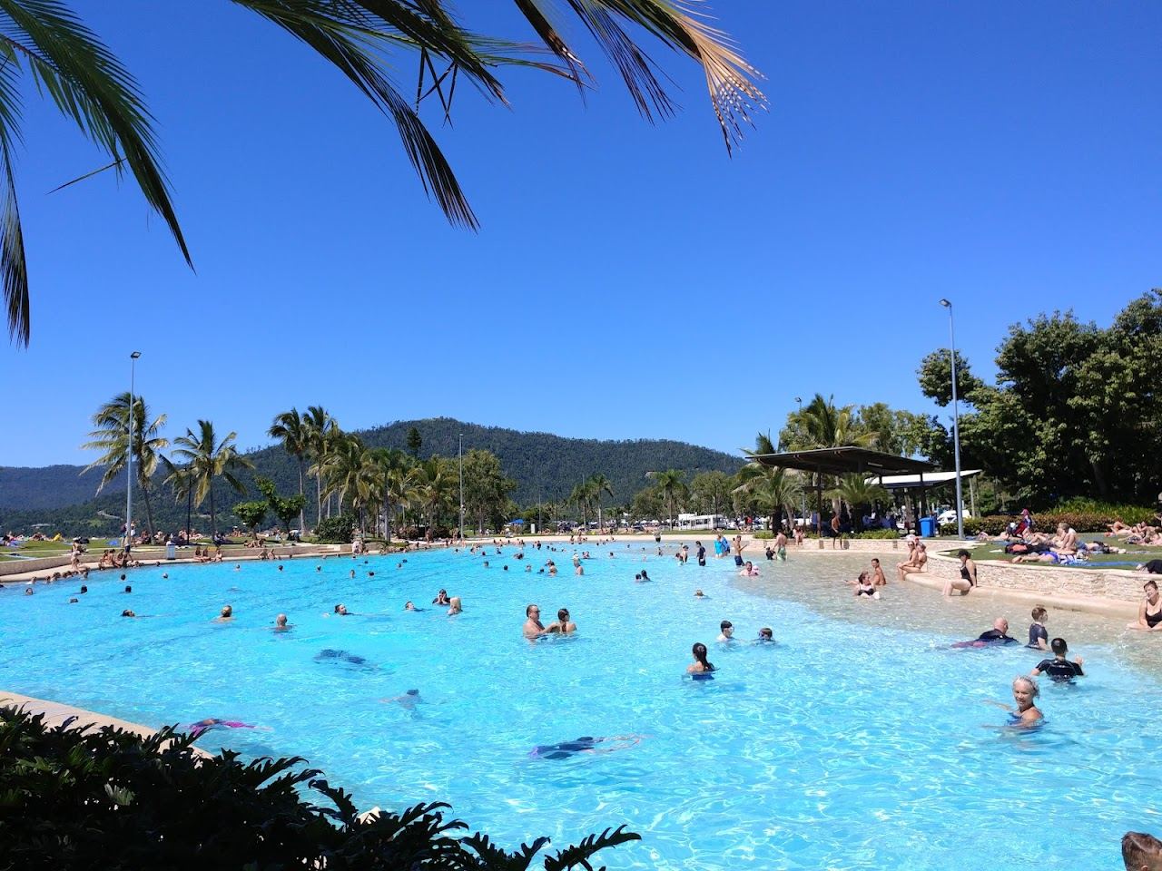 Calm turquoise water and palms at Airlie Beach, the mainland gateway to the Whitsundays