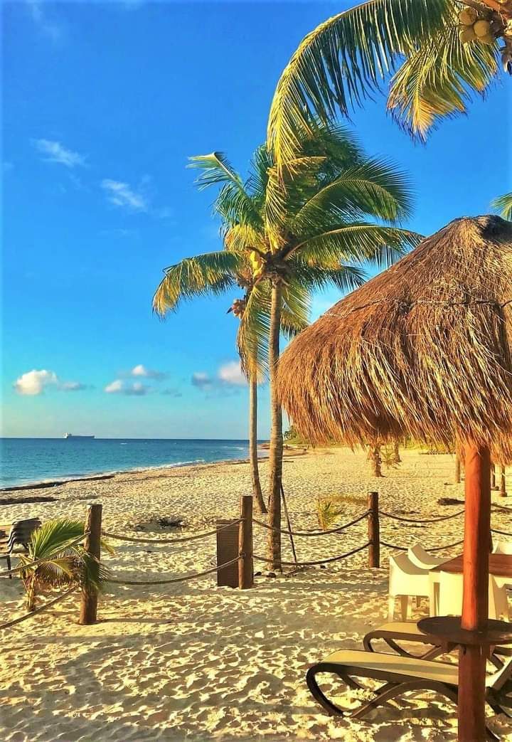 Caribbean coast warmth, cenotes and ruins along a coast that shines through the northern winter.