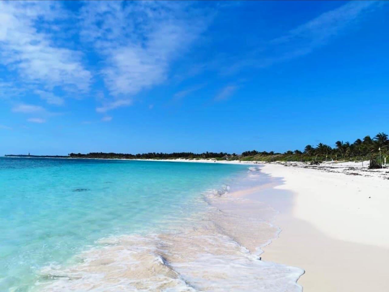 Calm clear shallows and jungle backed sand at Playa Xcacel near Akumal in the Riviera Maya