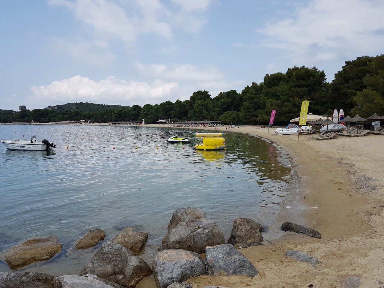 Fine pale sand and clear shallow water along the pine fringed arc of Koukounaries beach, Skiathos