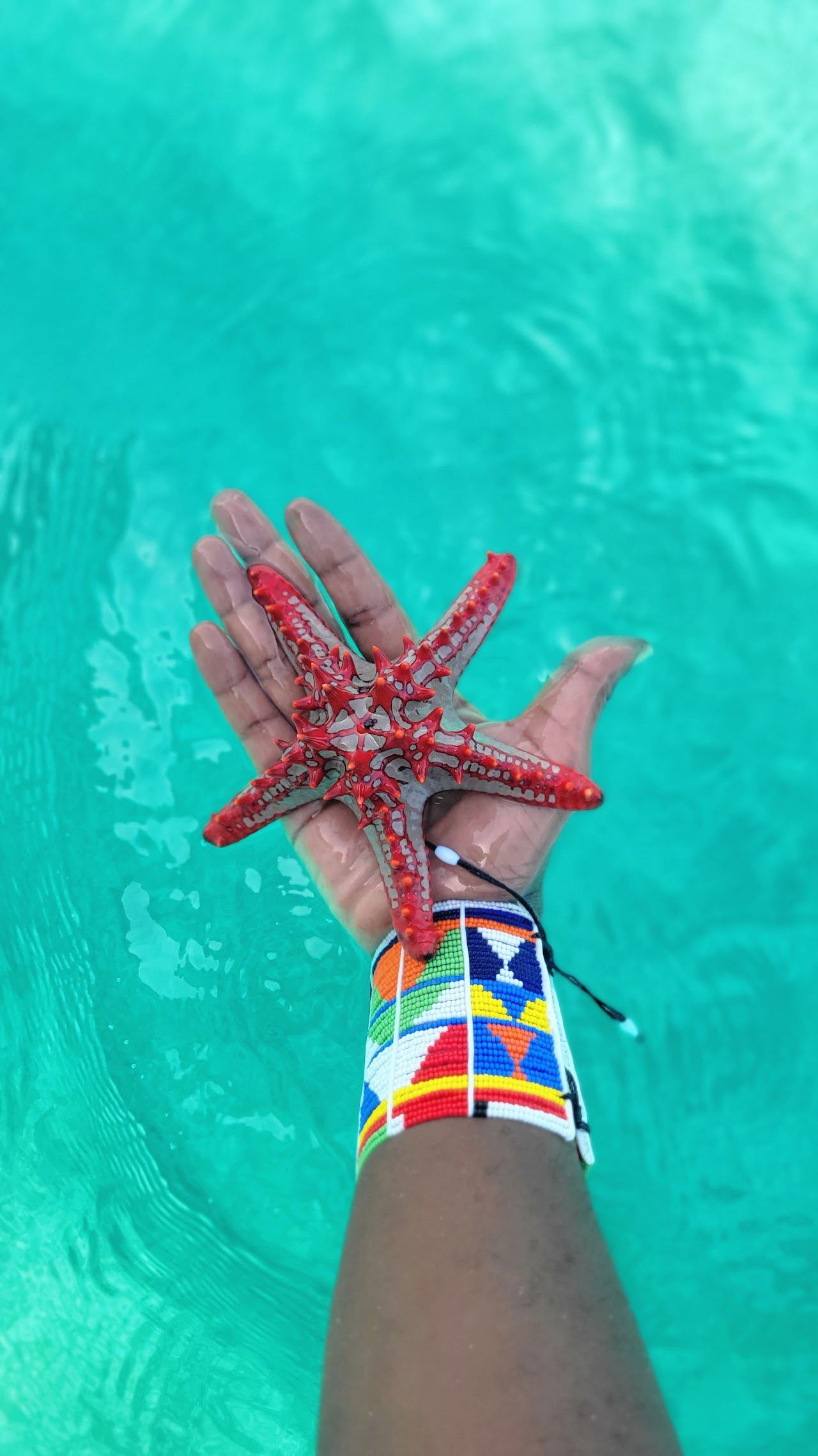 Bright white sand and turquoise shallow water at a beach on the north coast of Zanzibar